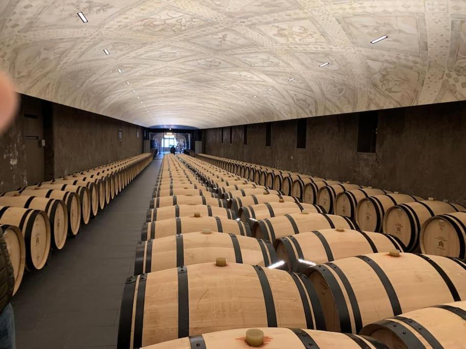 Studio Confortable Aux Portes De Bordeaux Et Medoc Ludon-Médoc Eksteriør billede