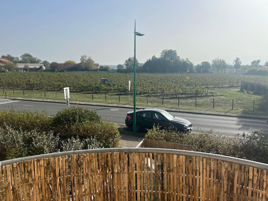 Studio Confortable Aux Portes De Bordeaux Et Medoc Ludon-Médoc Eksteriør billede