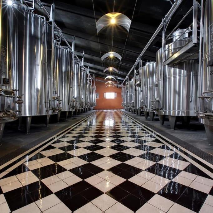 Studio Confortable Aux Portes De Bordeaux Et Medoc Ludon-Médoc Eksteriør billede